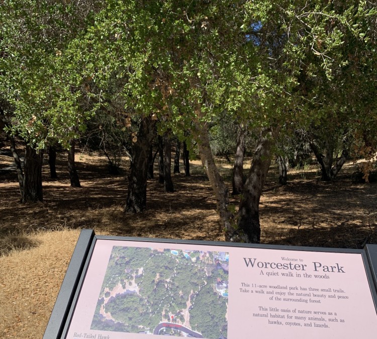 Worcester Park (Los&nbspGatos,&nbspCA)